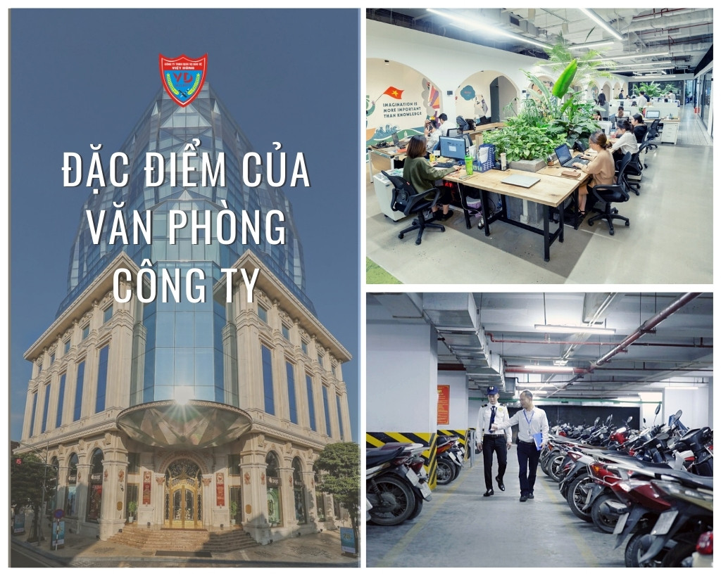 dac-diem-cua-van-phong-cong-ty