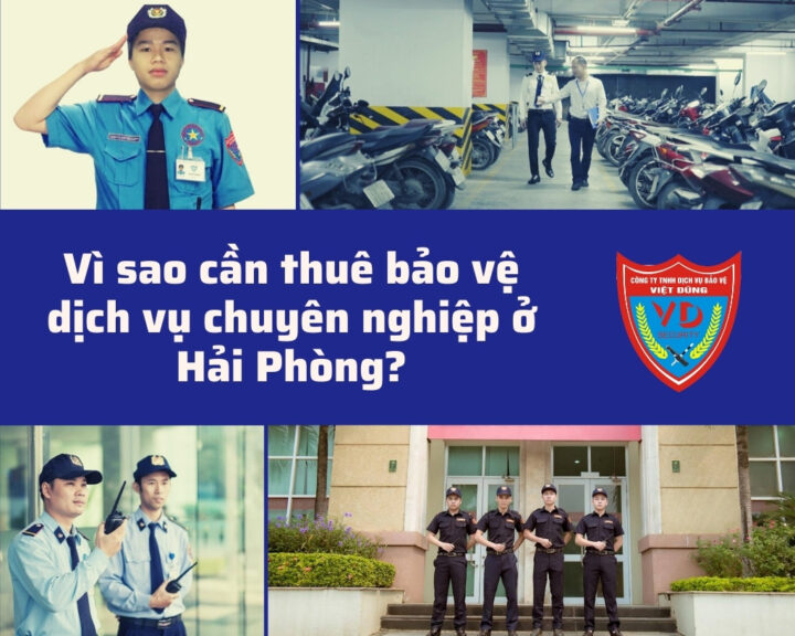 vi-sao-can-thue-dich-vu-bao-ve-o-hai-phong