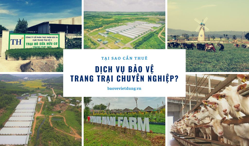 Tại sao cần thuê bảo vệ trang trại?