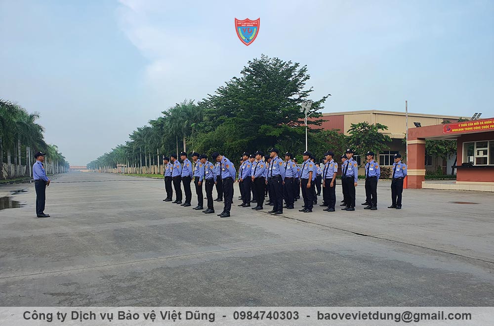 dich-vu-bao-ve-tai-gia-lam-2