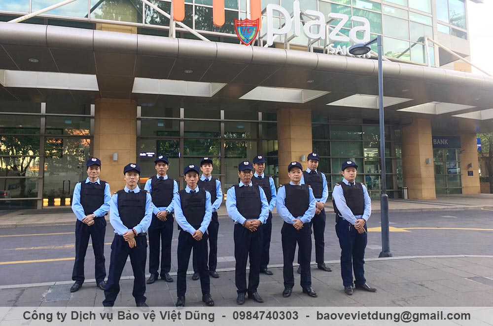 dich-vu-bao-ve-tai-gia-lam-6