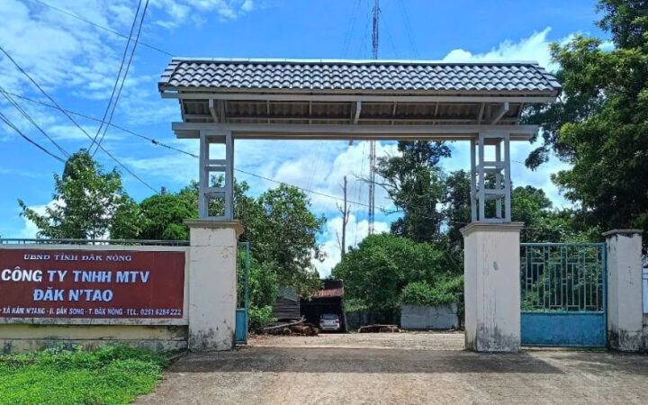 cong-ty-lam-nghiep-dak-N'tao